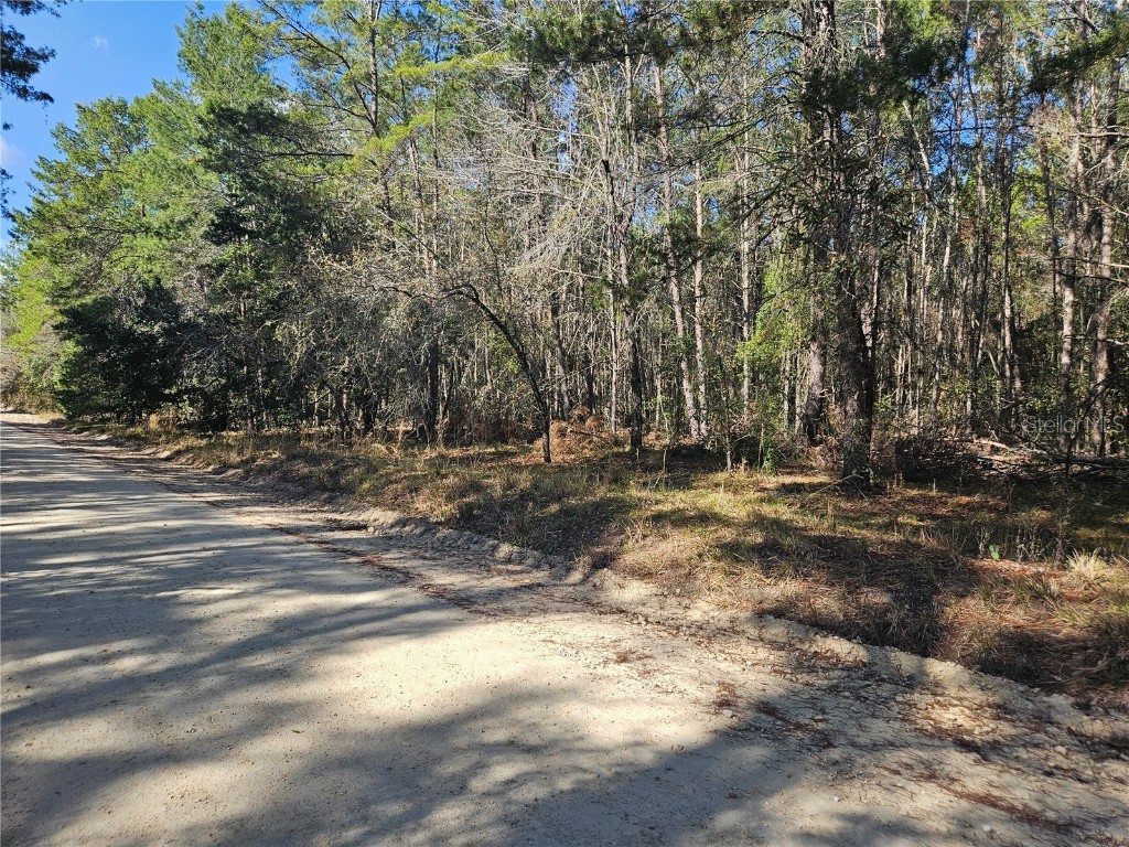 tbd SE 8th Street Williston FL 32696 OM715541 image5