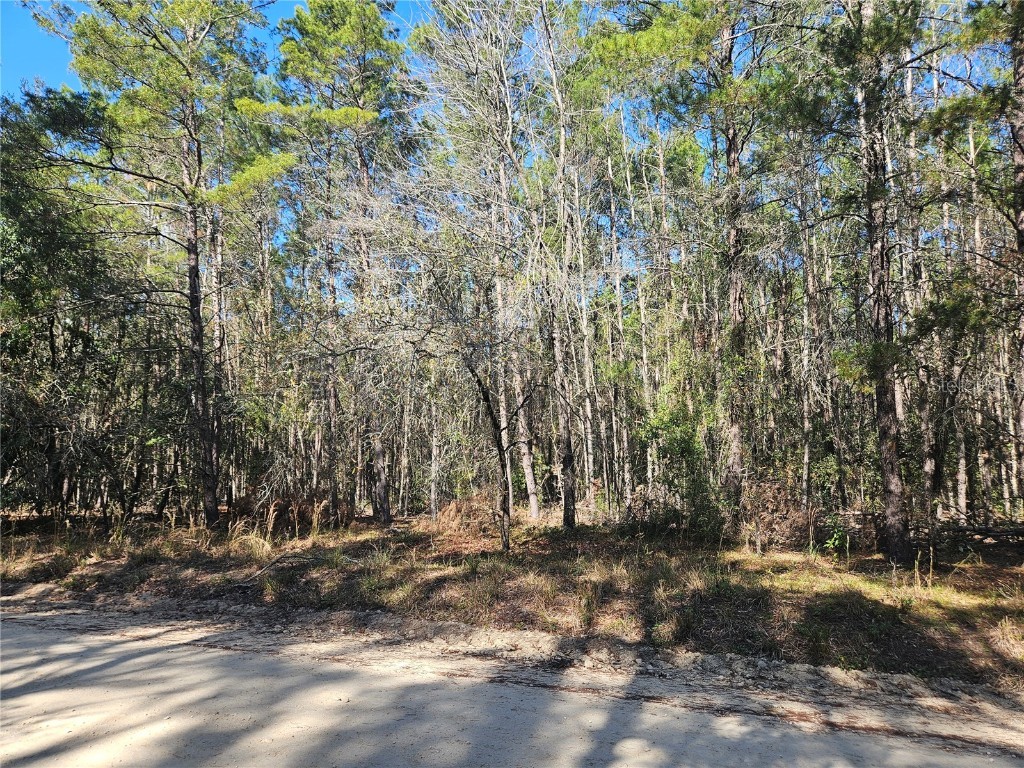 tbd SE 8th Street Williston FL 32696 OM715541 image6