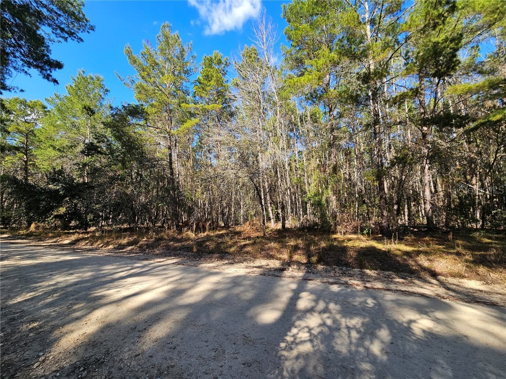 tbd SE 8th Street Williston FL 32696 OM715541 image7