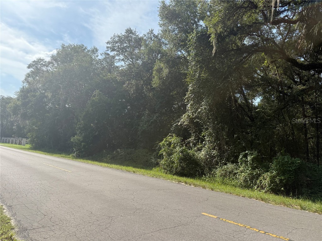tbd SW 155th St SW Dunnellon FL 34432 OM707186 image1