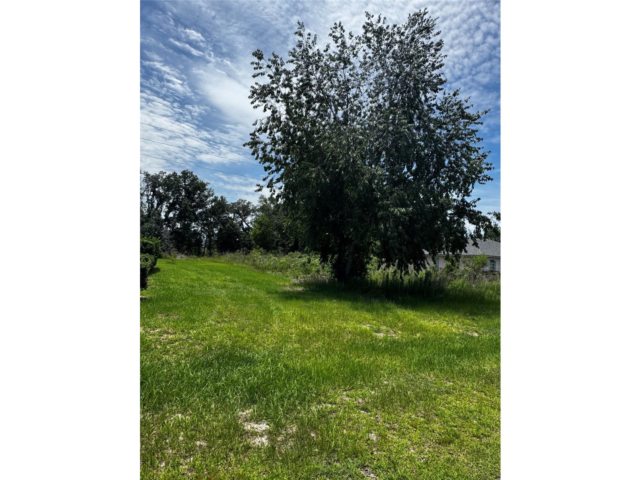 tbd SW 46th Court Ocala FL 34473 OM725903 image1