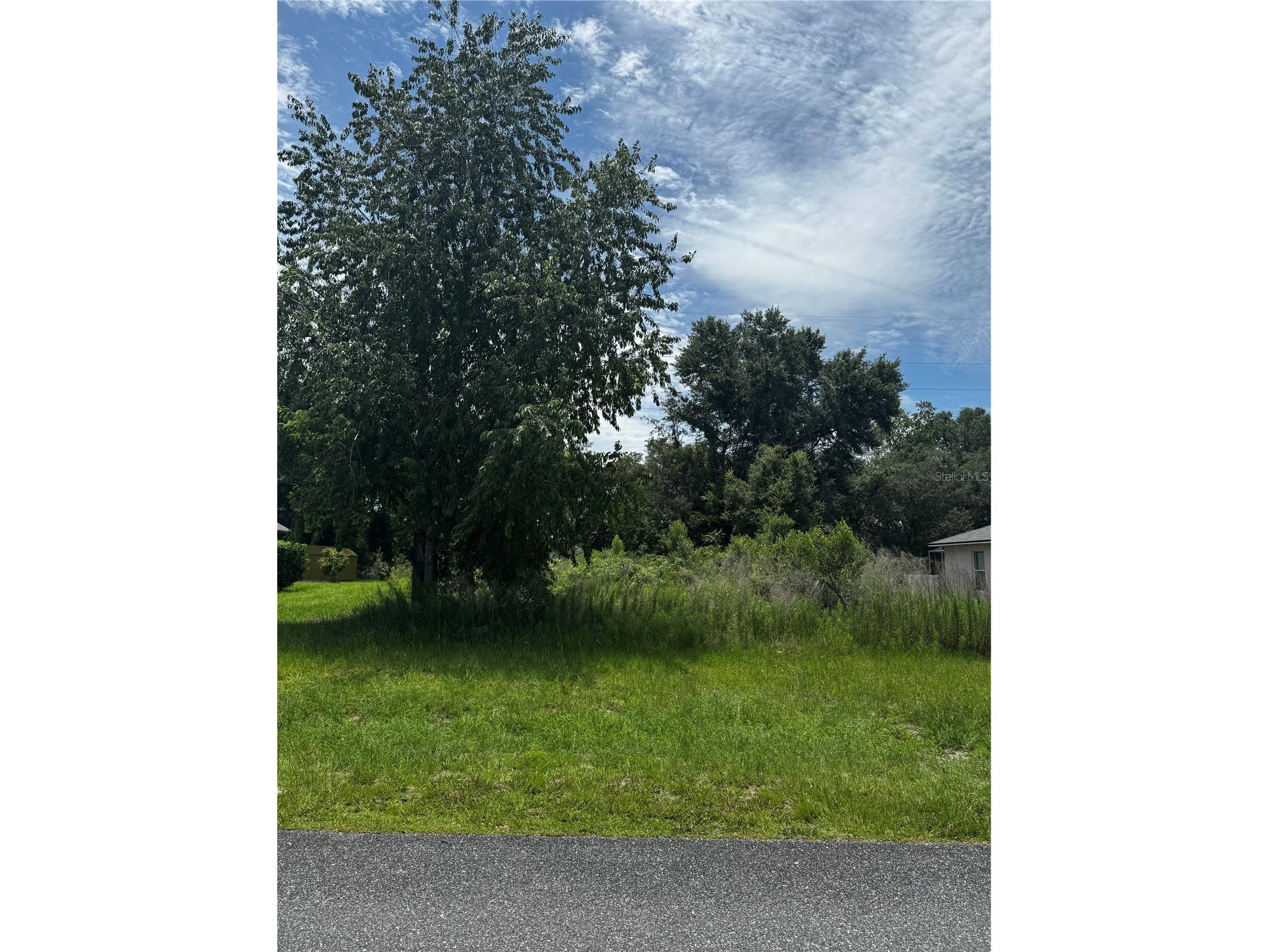 tbd SW 46th Court Ocala FL 34473 OM725903 image2