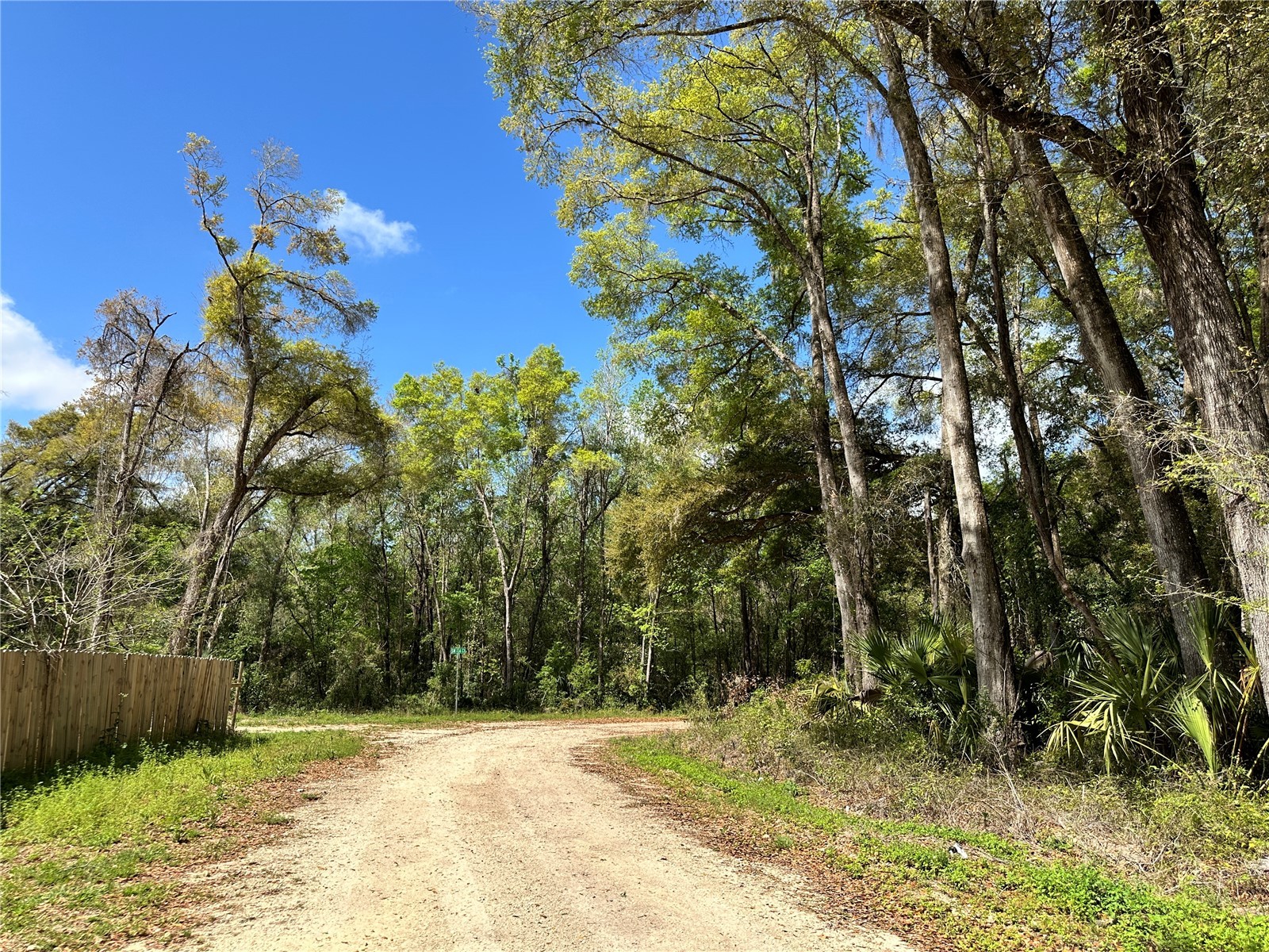 tbd SW 5th Lane Ocala FL 34481 OM710469 image5