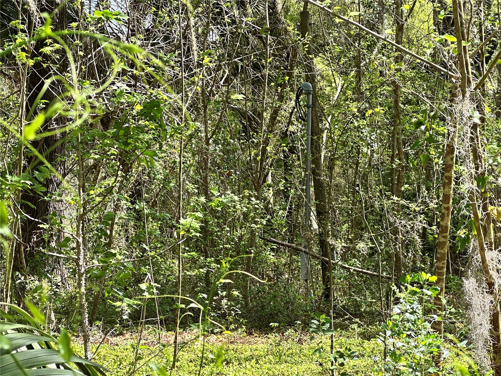 tbd SW 5th Lane Ocala FL 34481 OM710469 image6