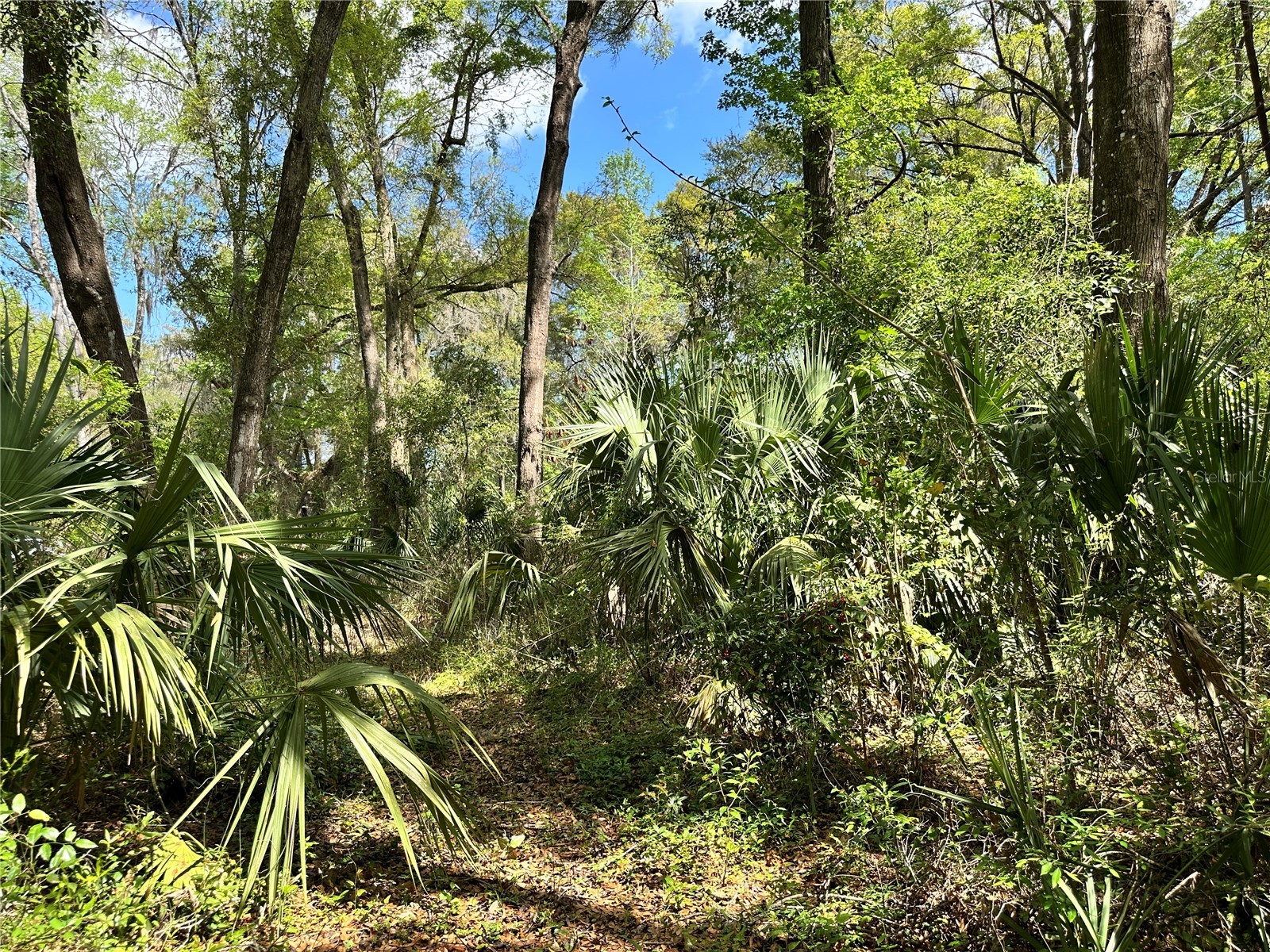 tbd SW 5th Lane Ocala FL 34481 OM710469 image7