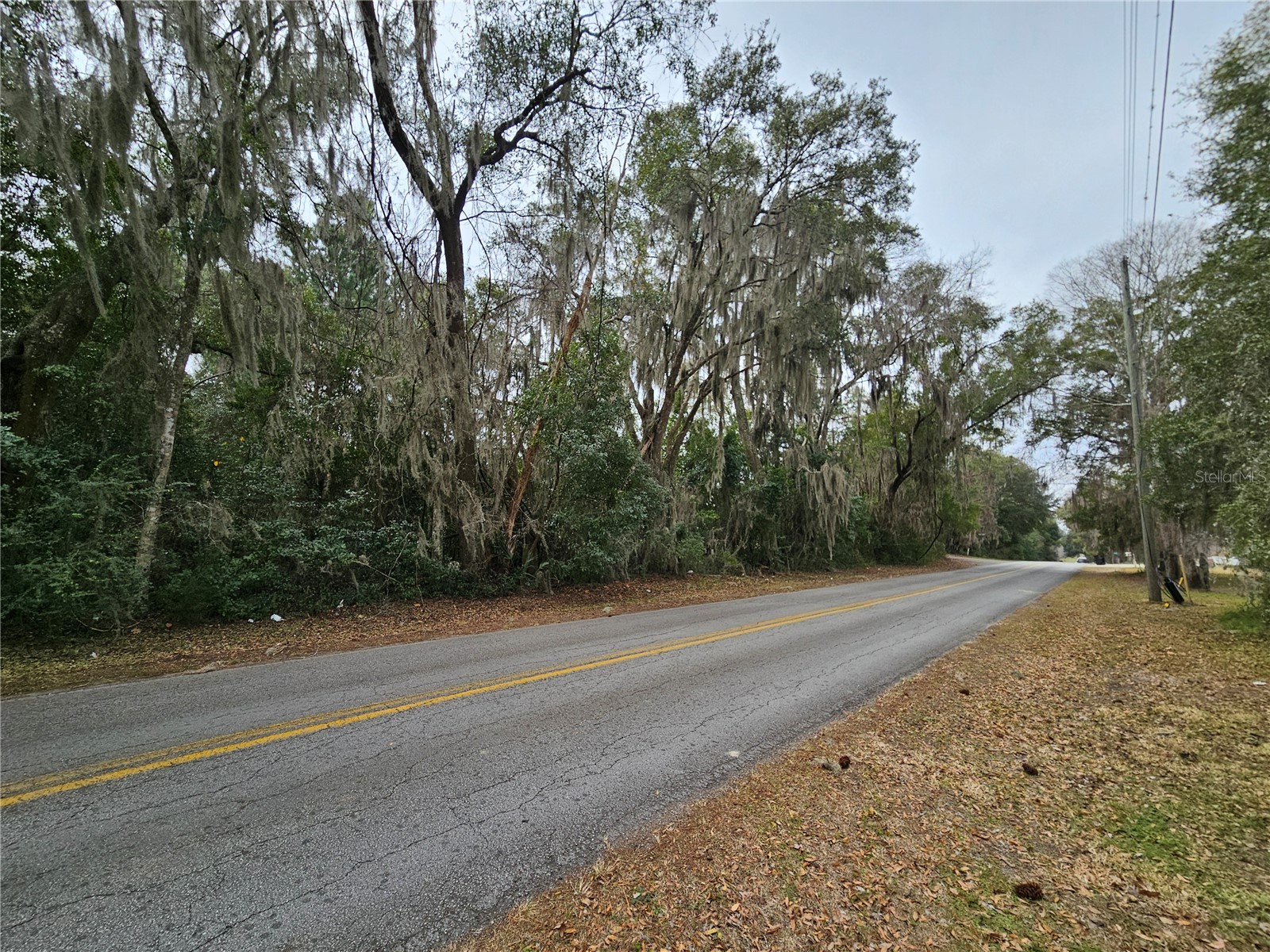 tbd SW 6th Avenue Williston FL 32696 OM717565 image3