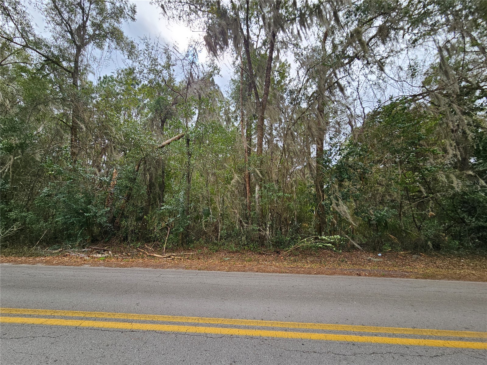 tbd SW 6th Avenue Williston FL 32696 OM717565 image5