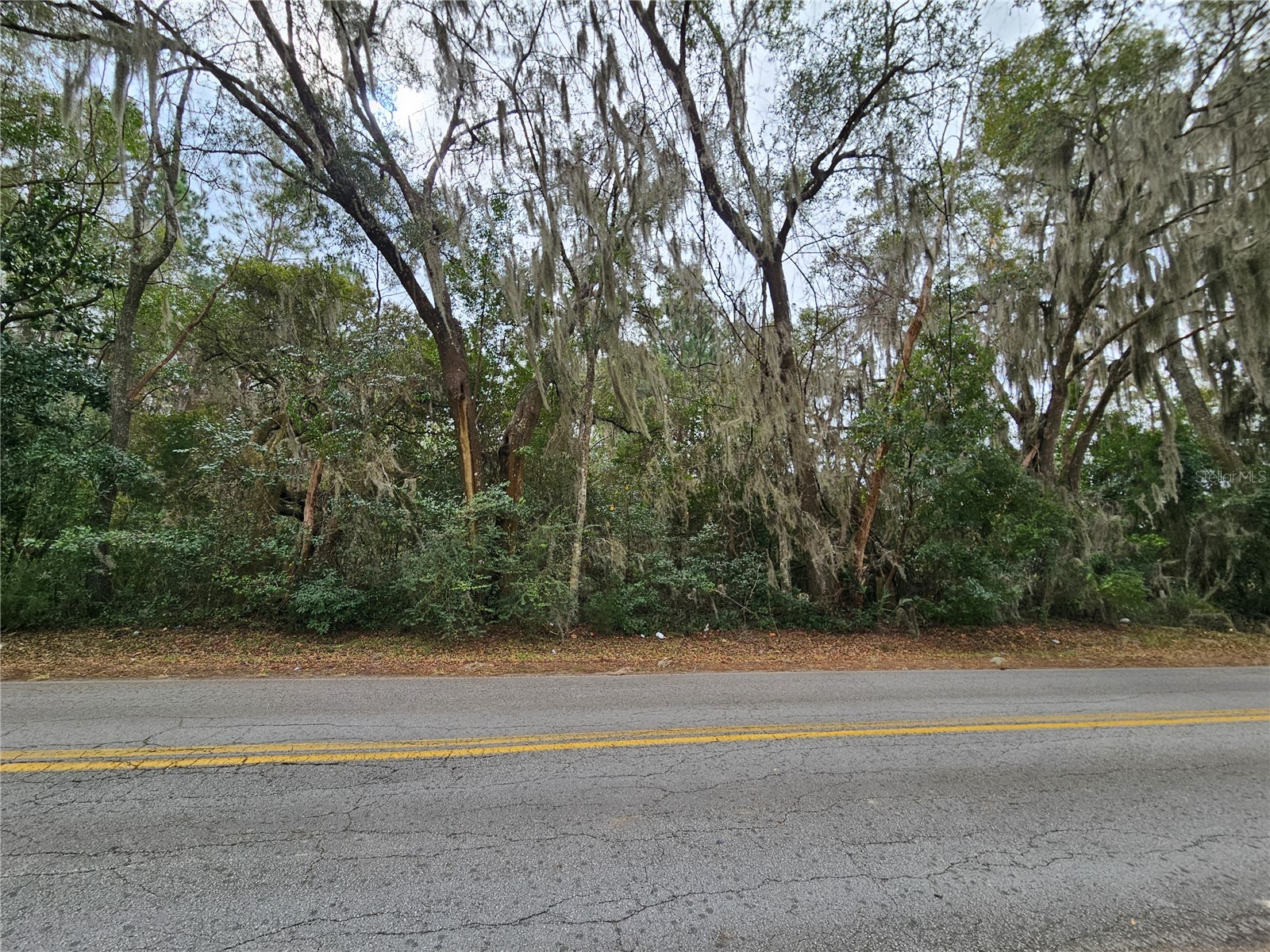 tbd SW 6th Avenue Williston FL 32696 OM717569 image4
