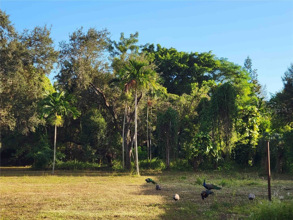 tbd SW 93rd Street Miami FL 33176 GC534597 image7