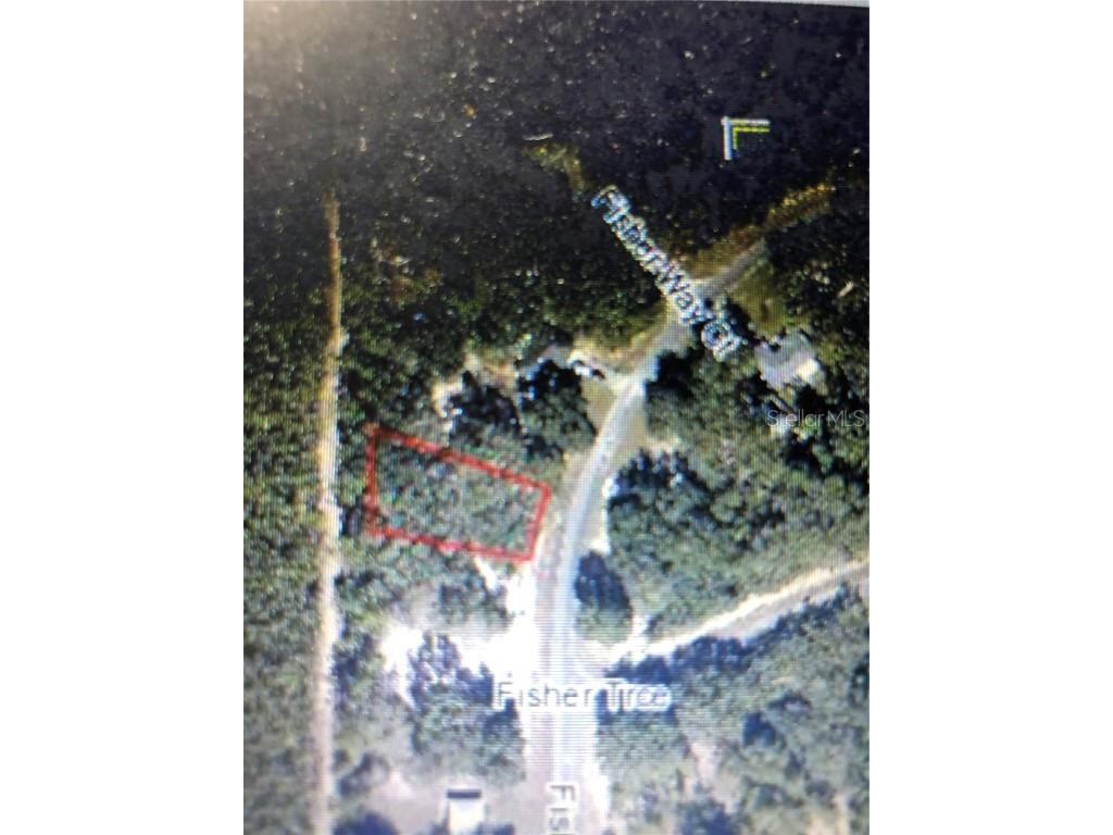 undetermined Fisher Way Ocklawaha FL 32179 O6161575 image1