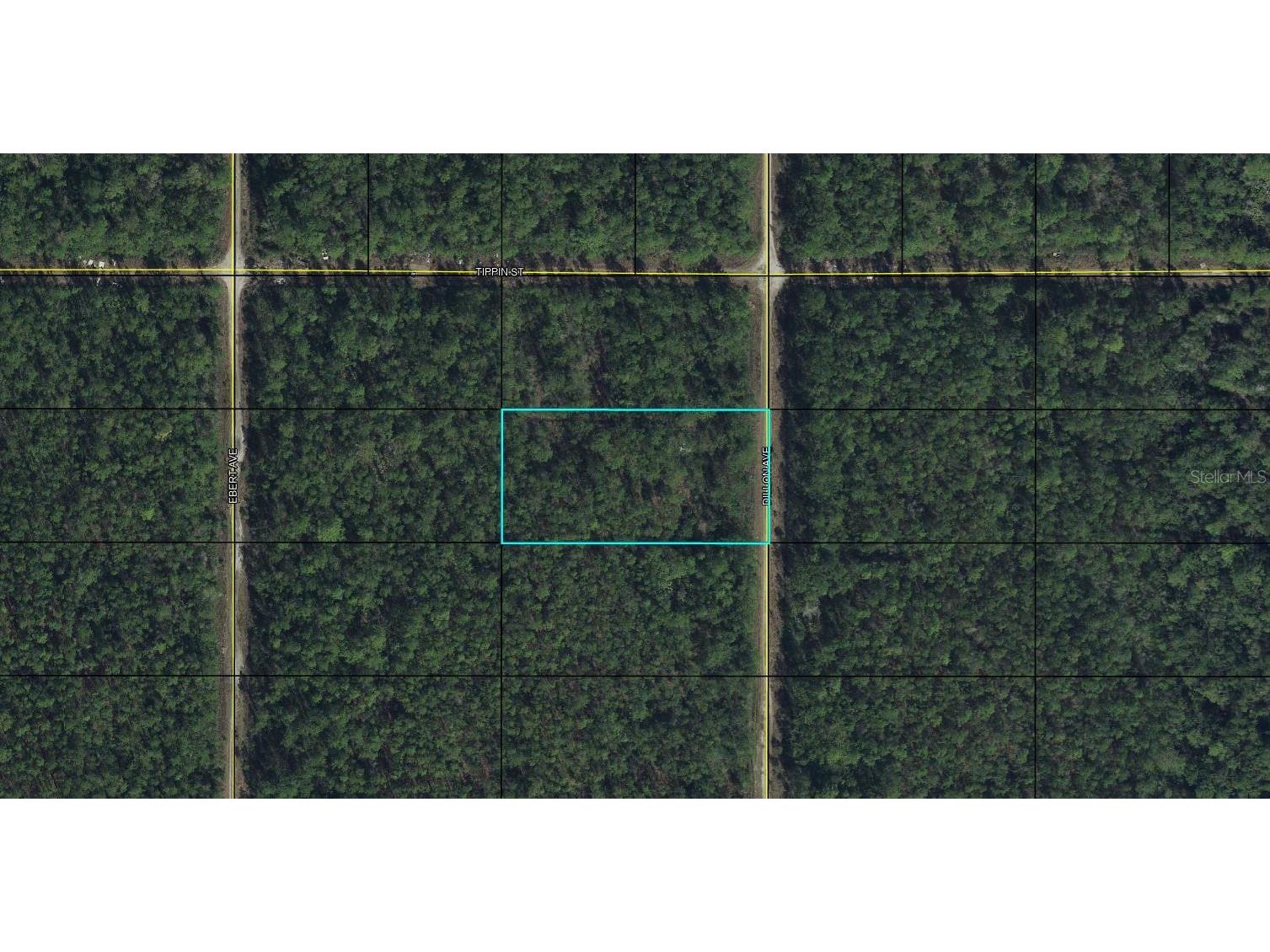 x Dillon Avenue Hastings FL 32145 FC287557 image1