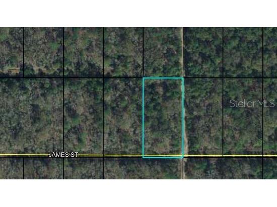 x James Street Hastings FL 32145 FC287045 image1