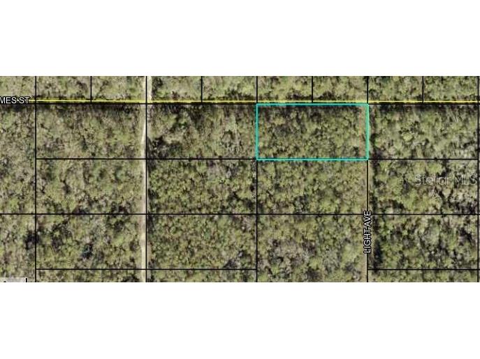 x Light Avenue Hastings FL 32145 FC293419 image1