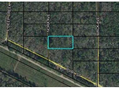 x Nora Avenue Hastings FL 32145 FC287048 image1