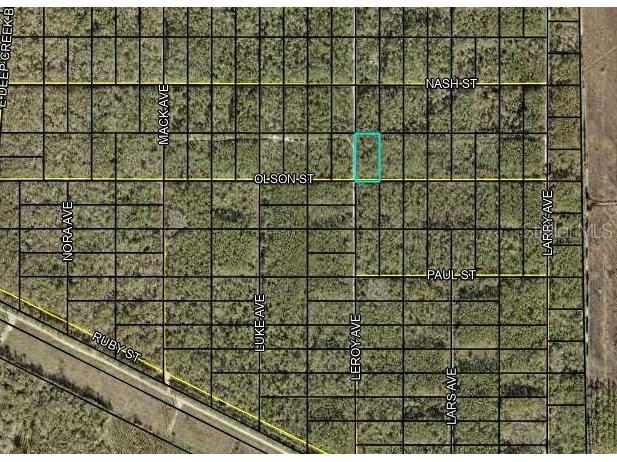 x Olsen Street Hastings FL 32145 FC291766 image1