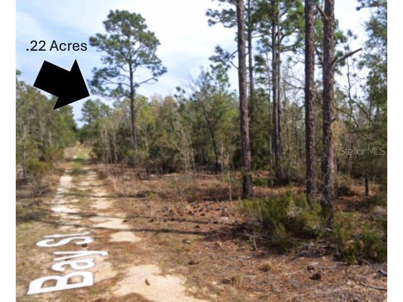 xx Bay Street Interlachen FL 32148 OM710414 image2