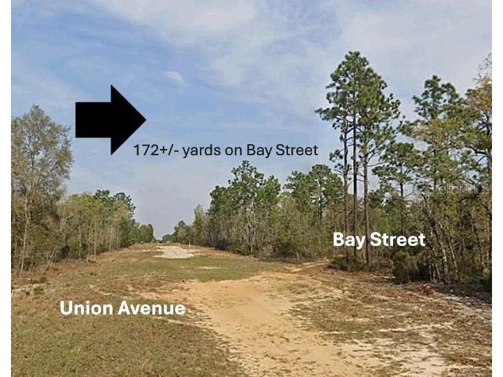 xx Bay Street Interlachen FL 32148 OM710414 image3
