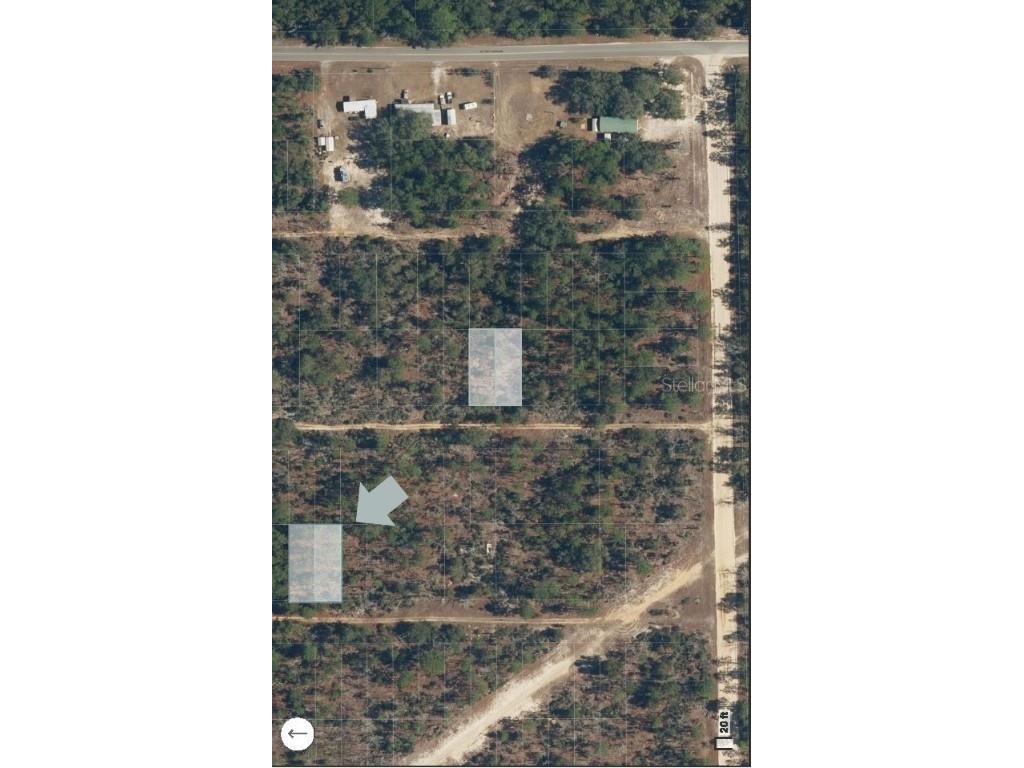 xx Bay Street Interlachen FL 32148 OM710414 image5