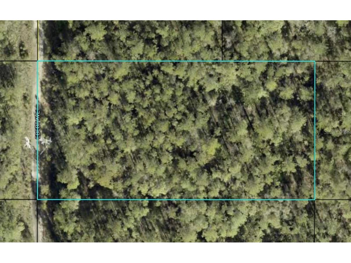 xx Ebert Avenue Hastings FL 32145 FC296431 image1