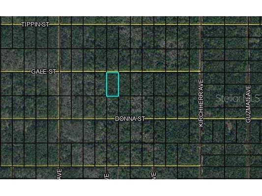 xx Gale Street Hastings FL 32145 FC287044 image1