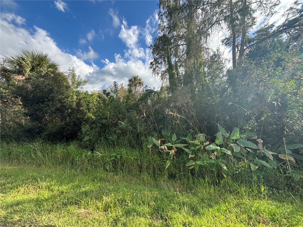 xxx 37th Ave Ne Naples FL 34120 C7517084 image13