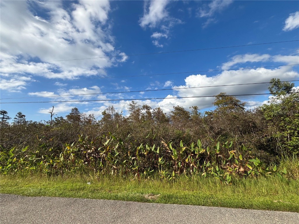 xxx 37th Ave Ne Naples FL 34120 C7517084 image15