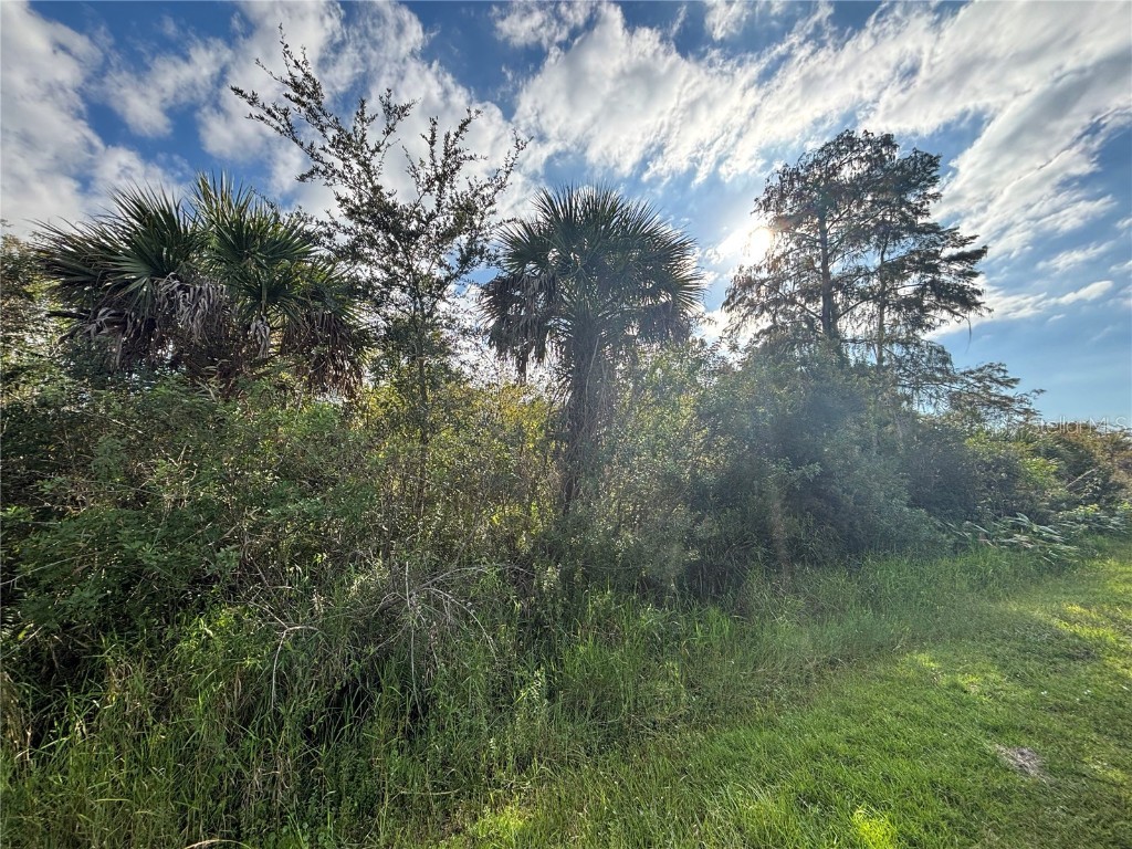 xxx 37th Ave Ne Naples FL 34120 C7517084 image6