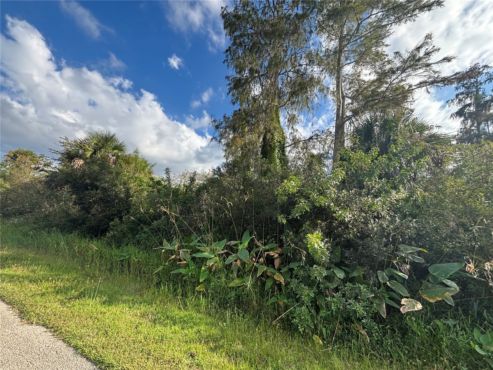 xxx37 Th Ave Ne Naples FL 34120 C7527165 image11