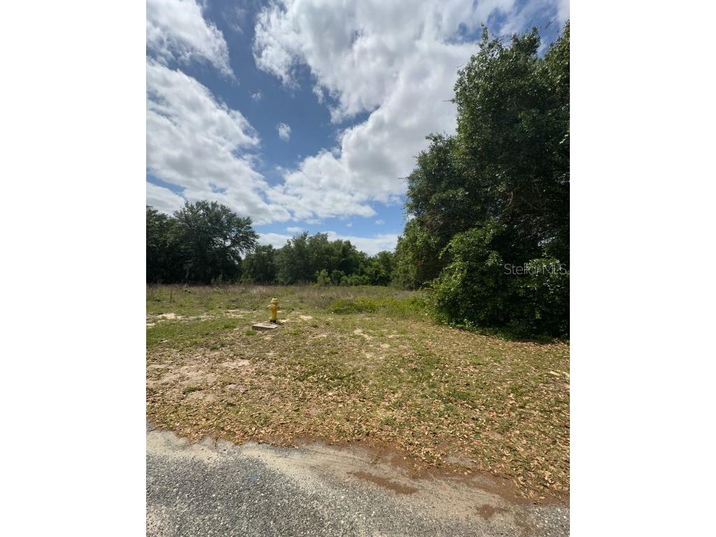 xxxx Independence Boulevard Groveland FL 34736 J973653 image1