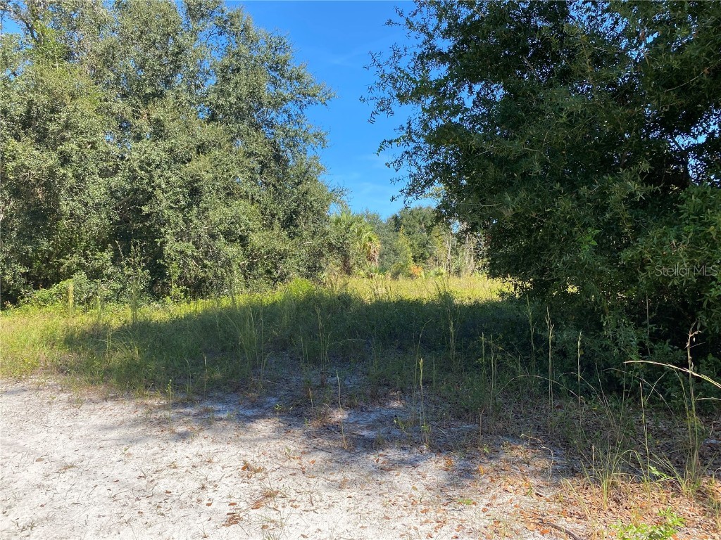 xxxx NE 3rd Ct Citra FL 32113 OM712112 image2