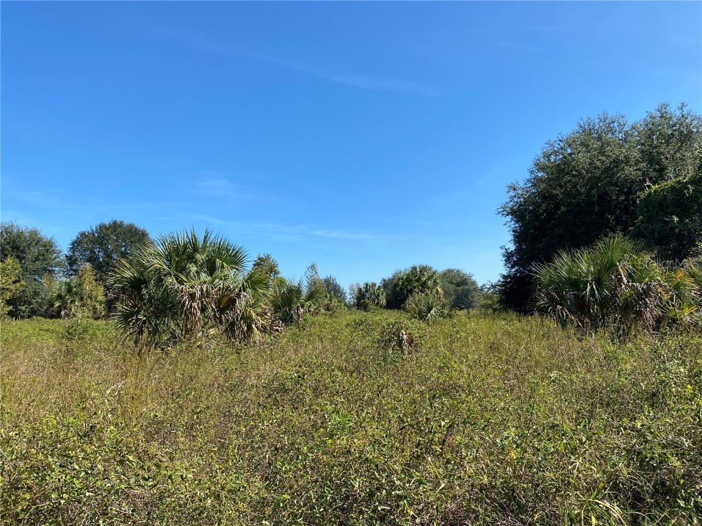 xxxx NE 3rd Ct Citra FL 32113 OM712112 image4