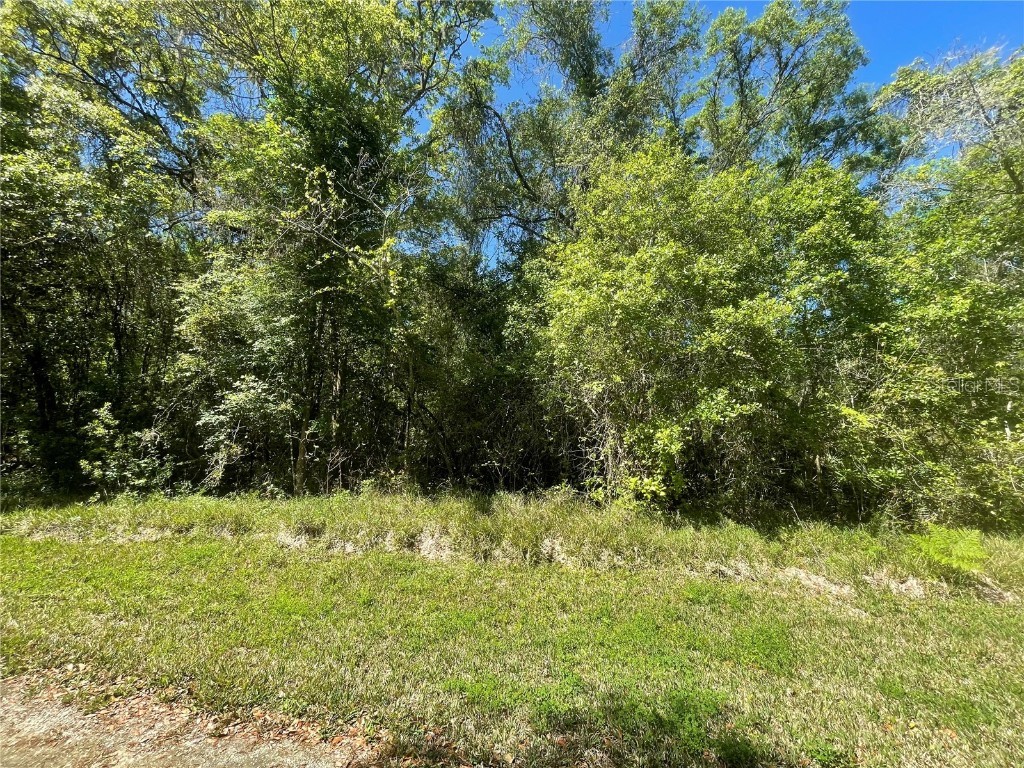 xxxx Table Rock Dr Webster FL 33597 T3512791 image1