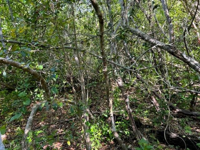 0 No Access Road Everglades City FL 34139 224102230 image6