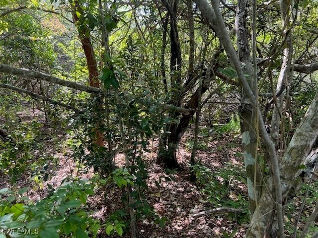 0 No Access Road Everglades City FL 34139 224102230 image7