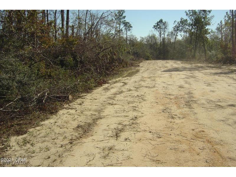 00 Old Spanish Marianna FL 32448 225012450 image3