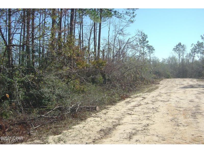 00 Old Spanish Marianna FL 32448 225012450 image4