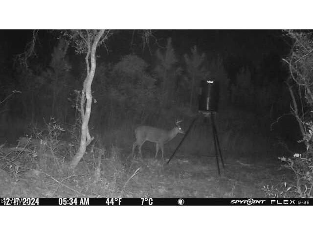 00 Old Spanish Marianna FL 32448 225012450 image5