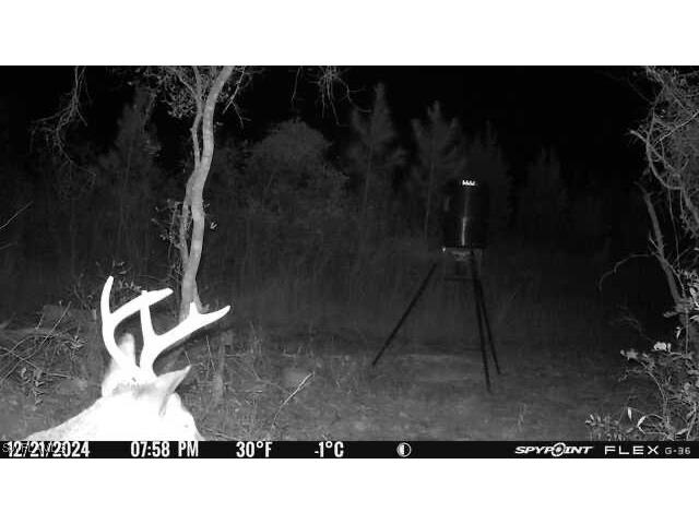 00 Old Spanish Marianna FL 32448 225012450 image6