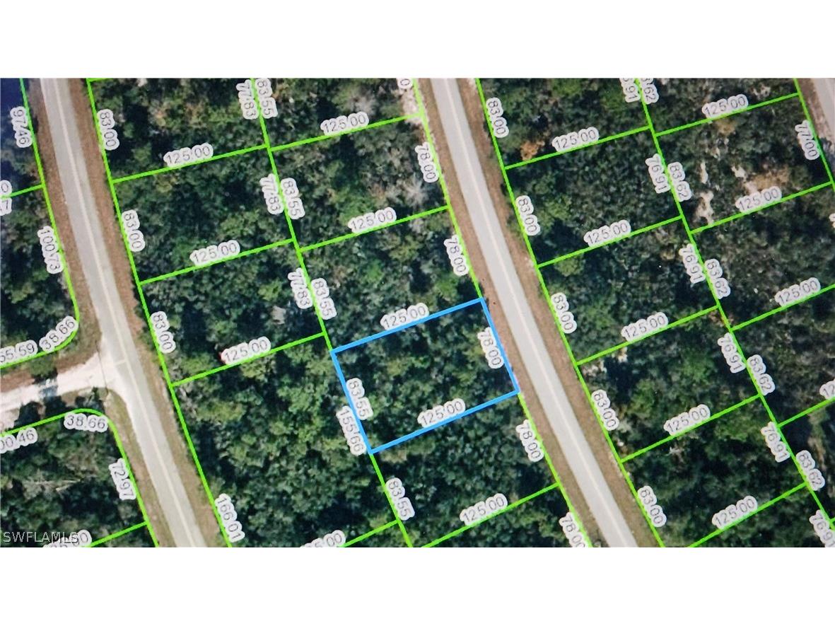 121 Fillmore Avenue NE Lake Placid FL 33852 223006693 image1