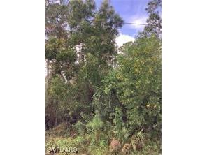 26th Avenue SE Naples FL 34117 225032323 image4