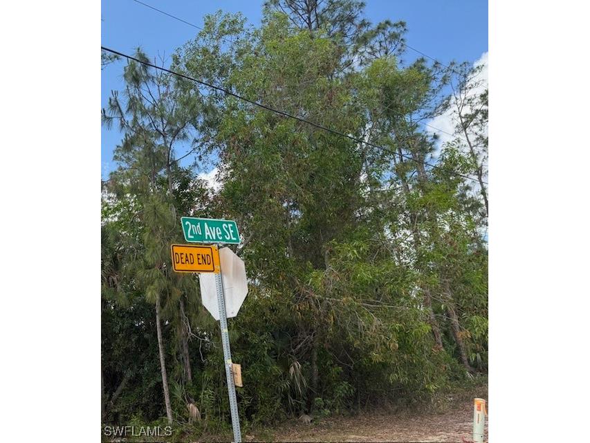  Naples FL 34117 225055498 image1