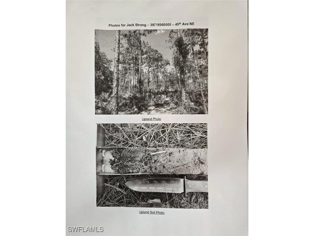 45th Avenue NE Naples FL 34120 225023473 image4