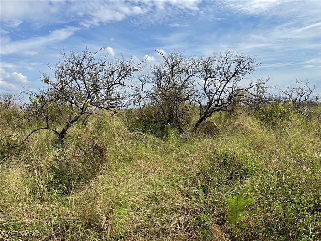 5th Road Labelle FL 33935 224033306 image2