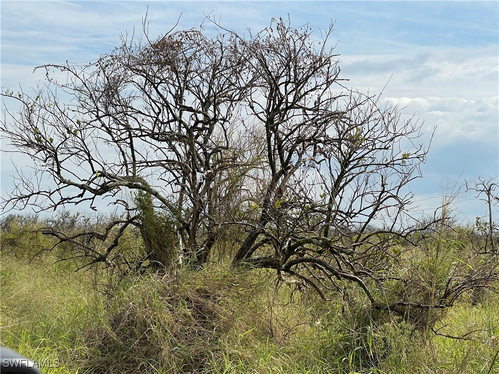 5th Road Labelle FL 33935 224033306 image3