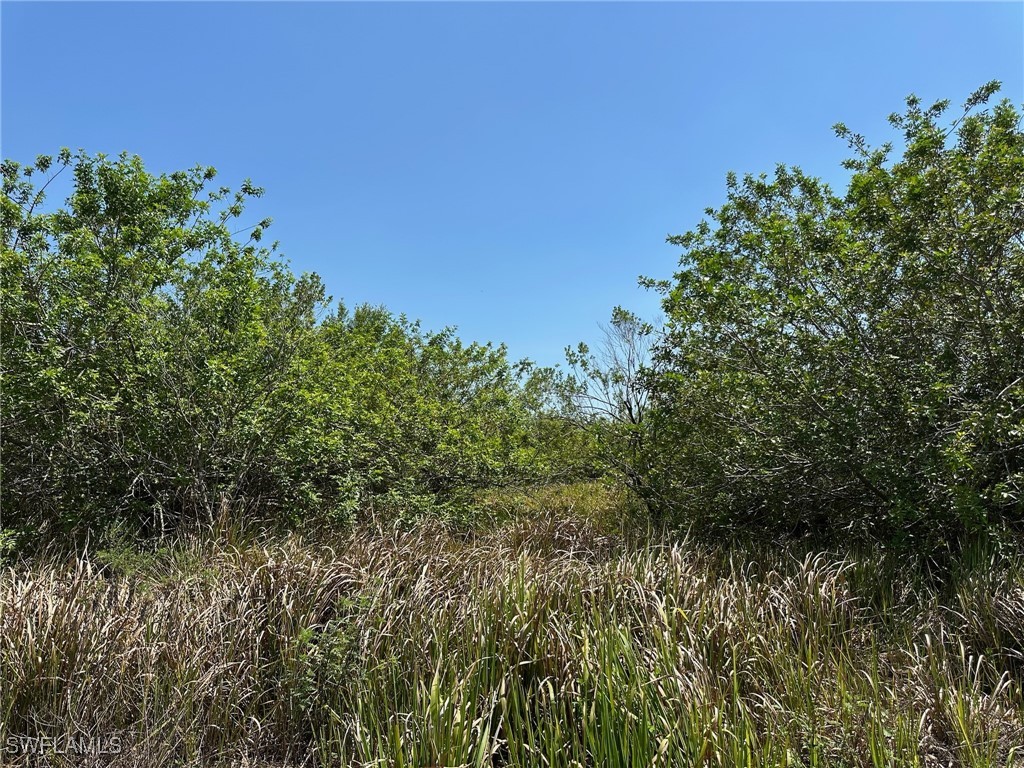 6389 6th Road Labelle FL 33935 225052101 image4