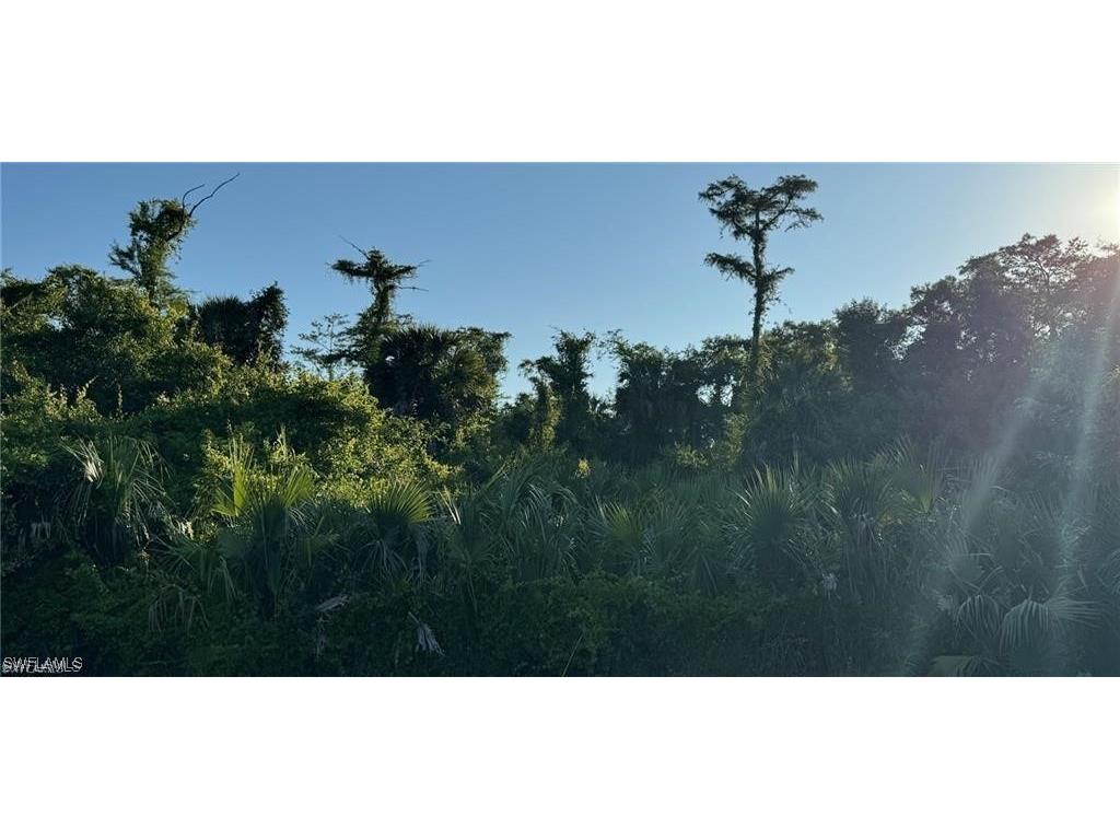 441 6th St Se Street W Naples FL 34117 225038611 image4