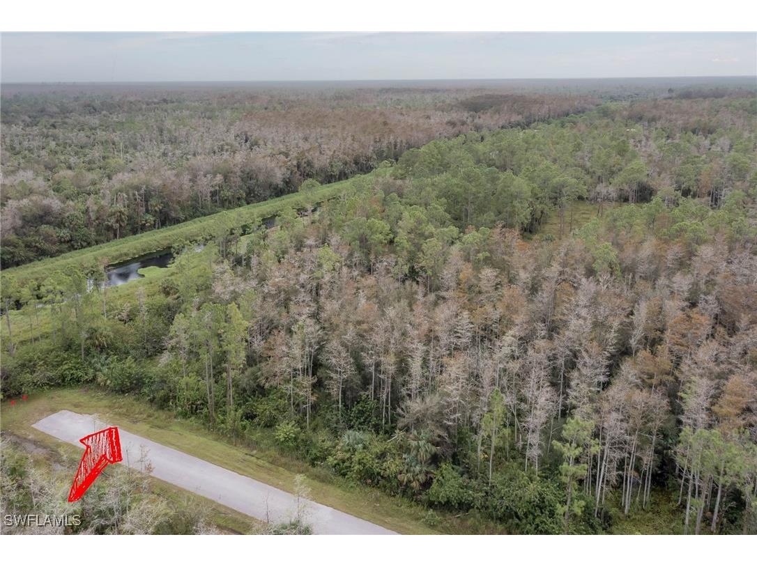 8th Avenue SE Naples FL 34117 225035862 image3