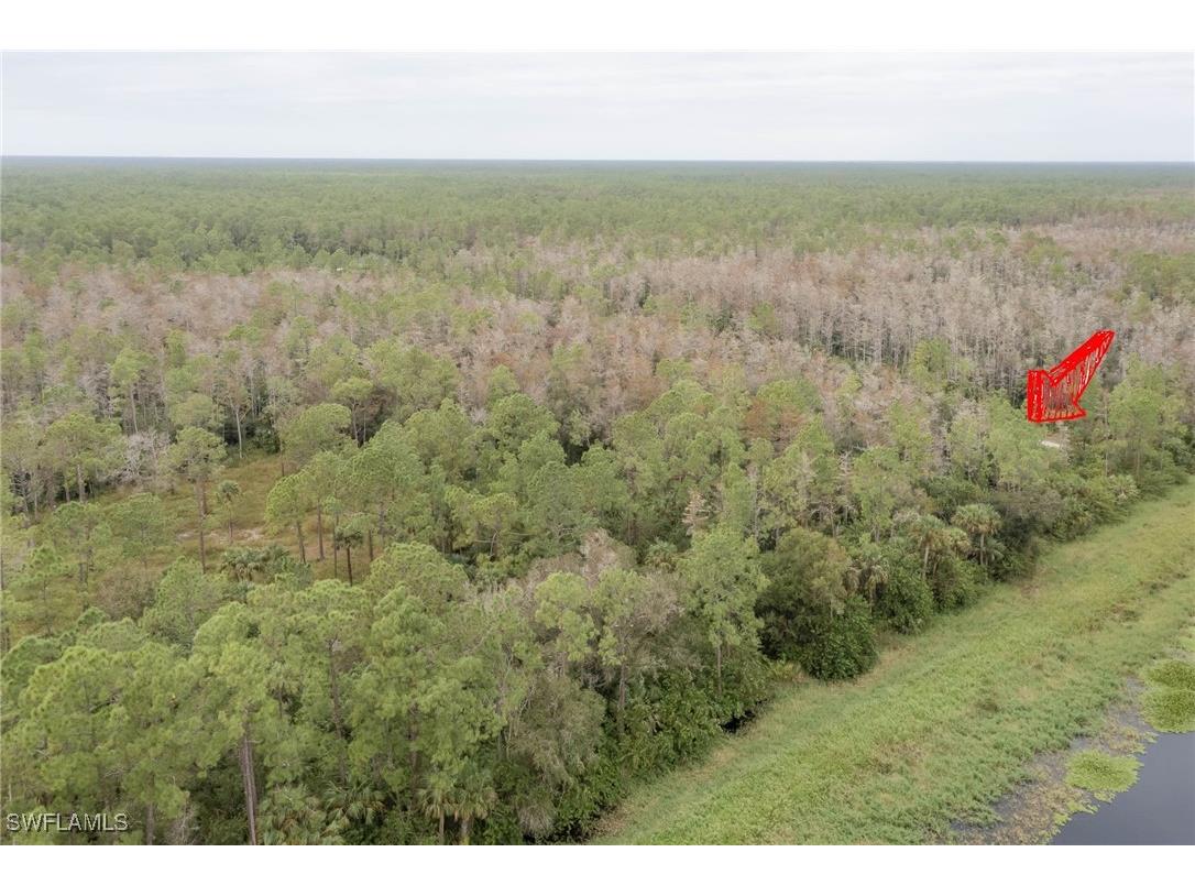 8th Avenue SE Naples FL 34117 225035862 image4