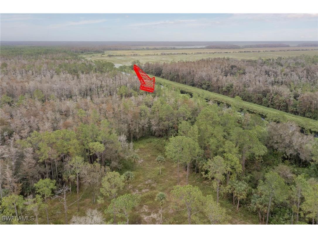 8th Avenue SE Naples FL 34117 225035862 image5