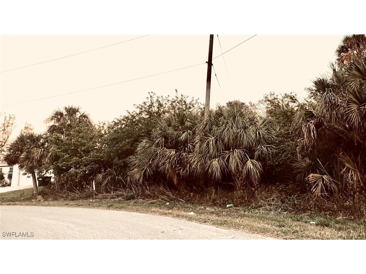 Abbotsford Street North Port FL 34287 225013353 image2